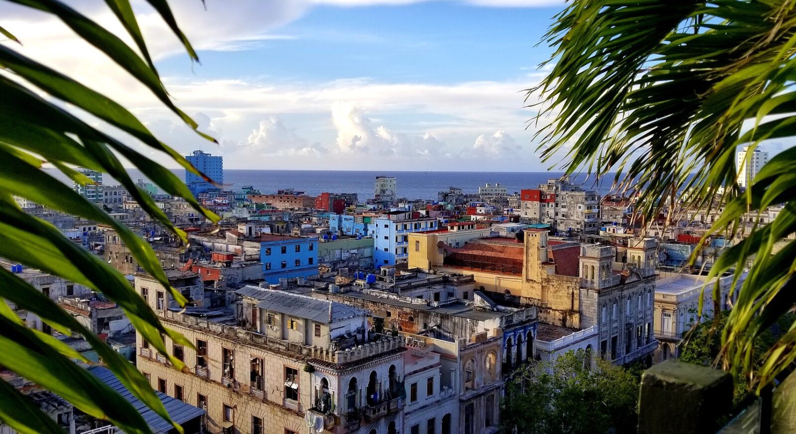 Deklaracja celna na Kubę - jak ją uzupełnić