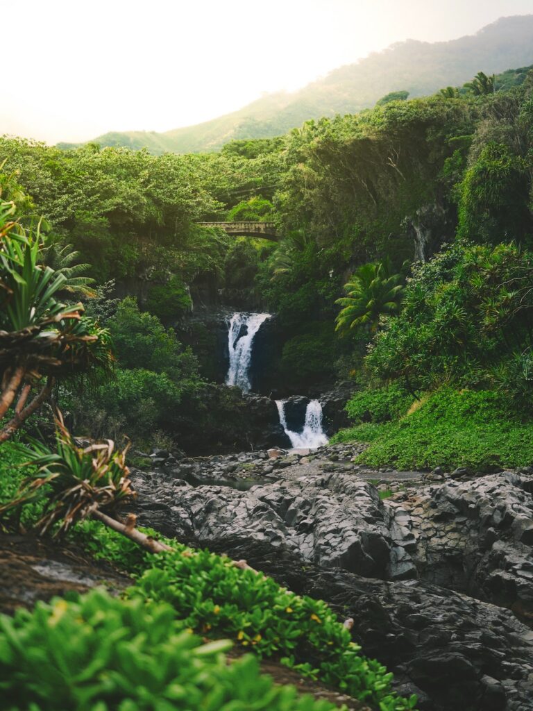 Hawaje - trekking po wyspie Maui